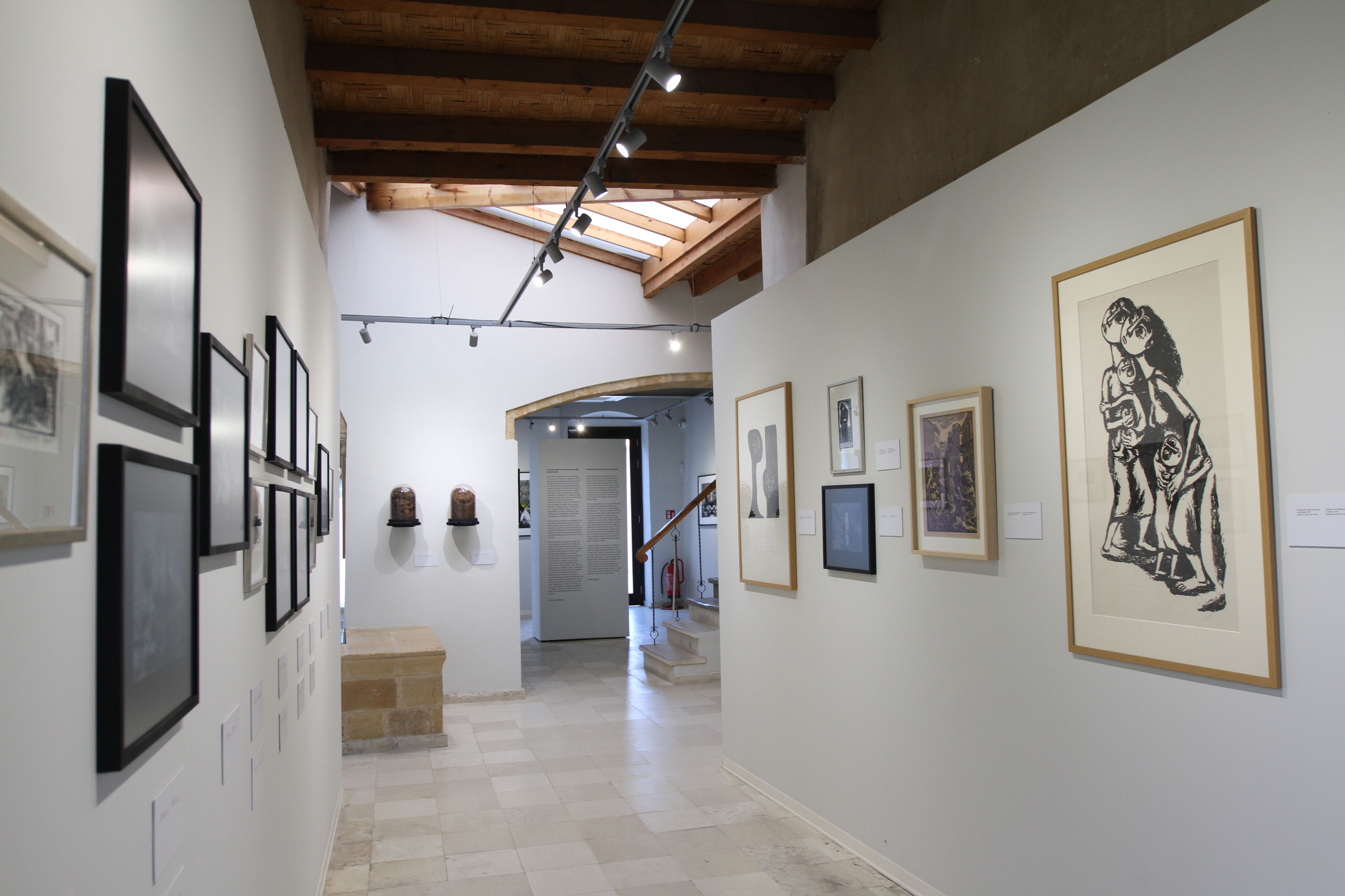 “Coexistence”   Vasso Katraki – Dimitris Alithinos